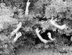 Ne me demande pas, je ne chanterai pas, Hraïr Hratchian, super 8, 2', 2019.